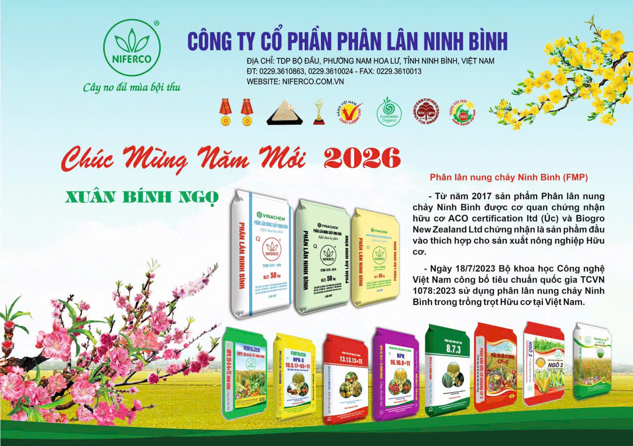 Phan lan Ninh Binh